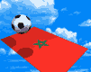 vive le maroc